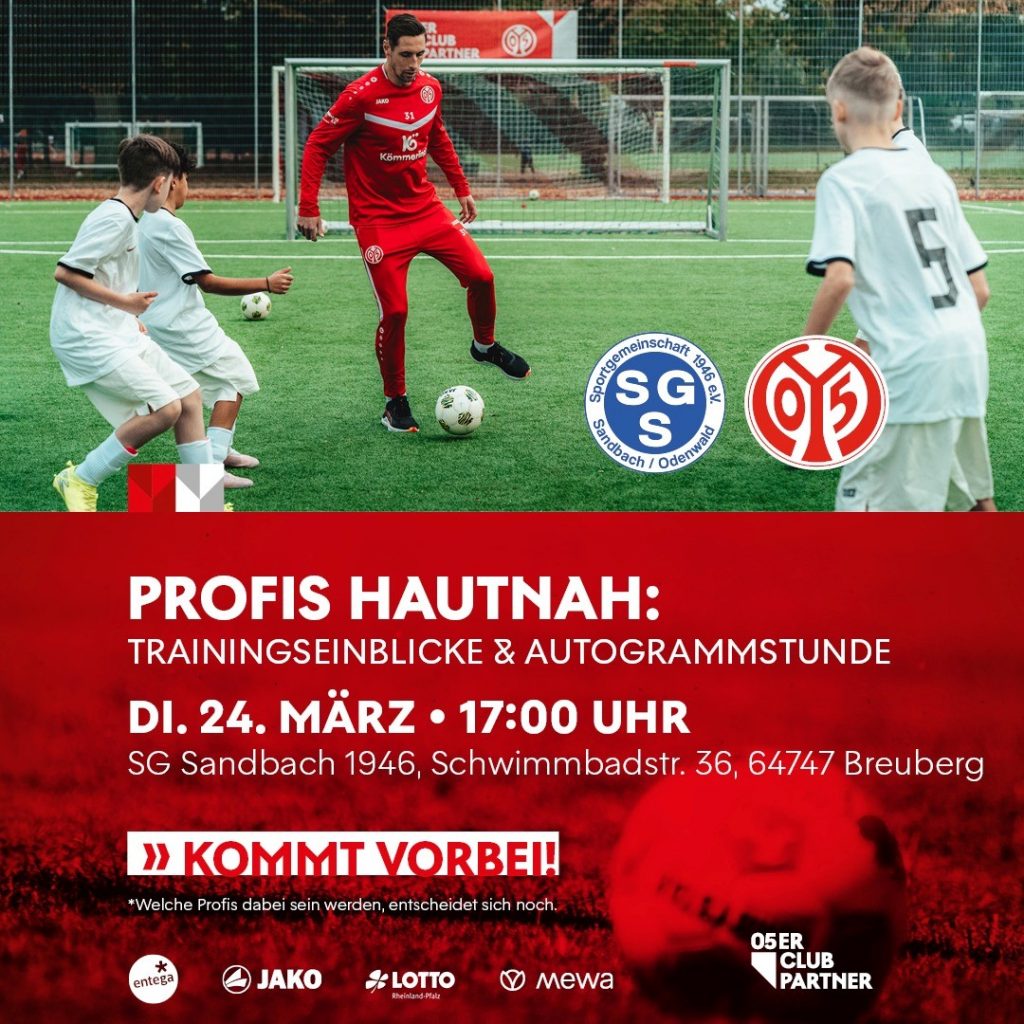 Mainz 05 Profitraining